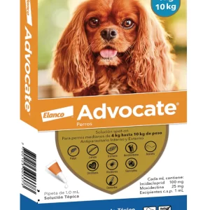 ADVOCATE