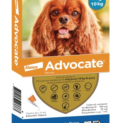 ADVOCATE 4-10KG- 020574