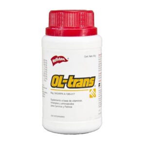 OL-TRANS X 80 GR
